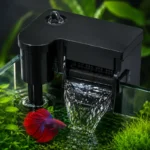 quel-filtre-pour-un-10l-avec-betta-externe