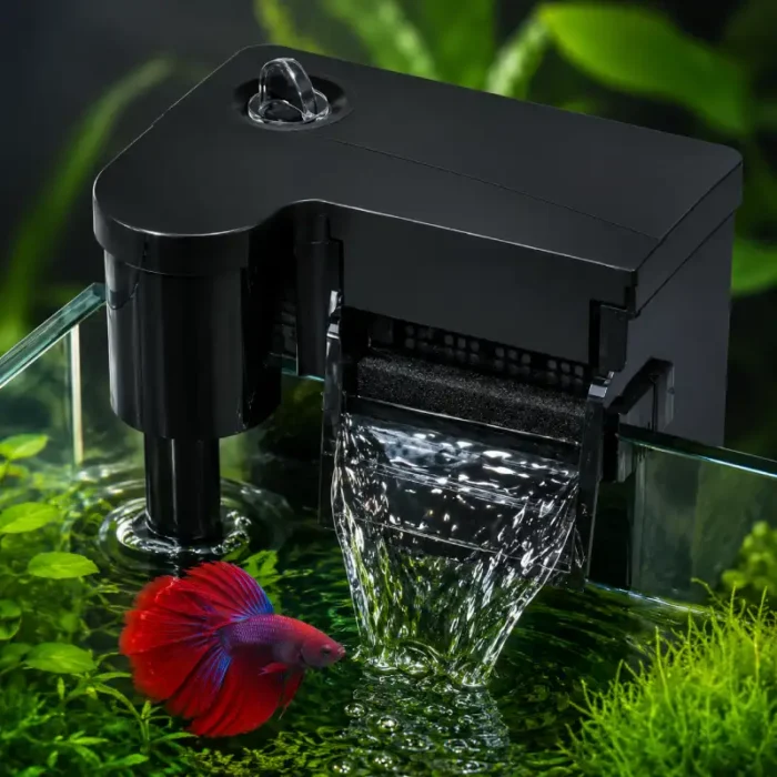 quel-filtre-pour-un-10l-avec-betta-externe
