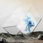 Aquarium-14L-BETTA-plastique