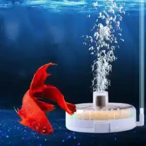 Filtre-Eponge-pour-Aquarium-Oxygenant
